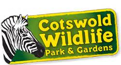 cotswold wildlife park webcam|Cotswold Wildlife Park & Gardens Webcams